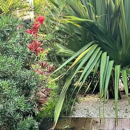 Cozy House Close Brickell Miami Extérieur photo